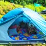 Camping stay